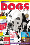 Dogs Today Magazine