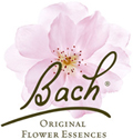 Bach Bloesems