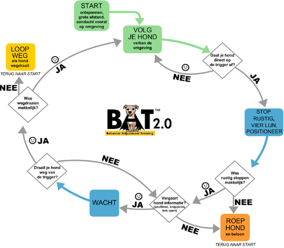 BAT Flowchart