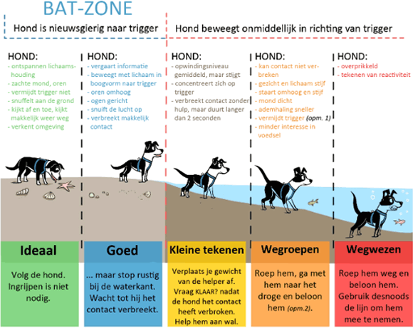 BAT Zone