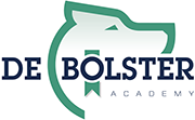 De Bolster Academy