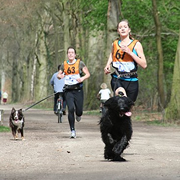 Canicross: hardlopen met je hond