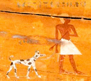 Zo zijn er in oude Egyptische graftombes en piramides tekeningen gevonden van honden die erg op Dalmatiërs leken.