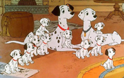 101 Dalmatiërs