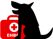 Cursus EHBO voor honden -