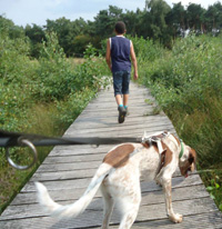 Hond trekt aan de lijn