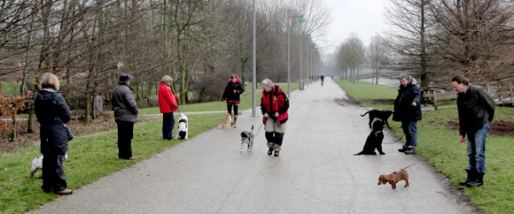 Les op een hondenschool