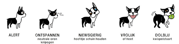 Lichaamstaal bij honden