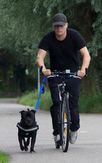 Samen steppen