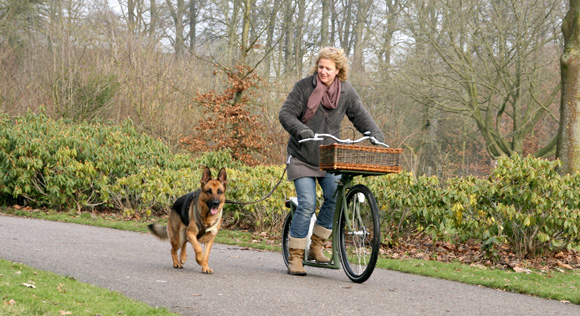 met je hond - Doggo.nl