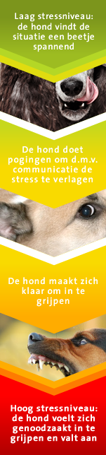 Stress bij honden