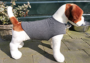 Thundershirt