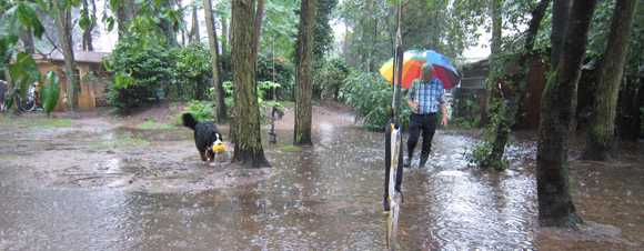 Wandelen in de regen