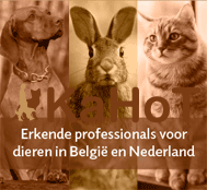 Beroepsvereniging KaHoT