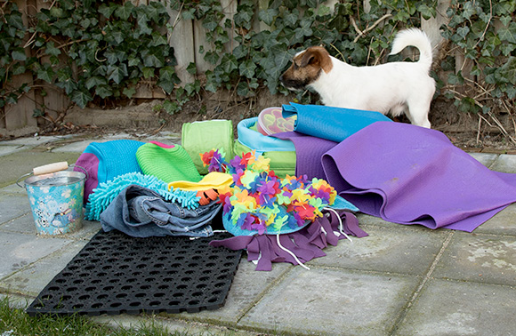 winkel Modieus bevroren Elke hond verdient Hersenwerk! - Doggo.nl