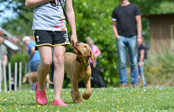 Blozend Cornwall aluminium De hond als kindervriend - Doggo.nl