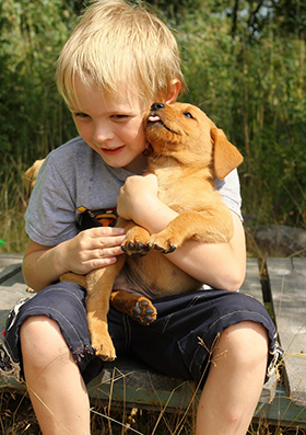 Niet alle honden houden van aaien en - Doggo.nl