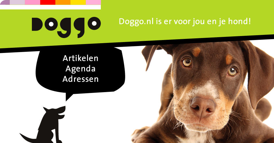 Copyright Doggo.nl (c) Doggo.nl