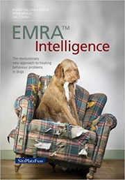 EMRA Intelligence