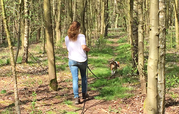 Op het spoor van de vermiste hond