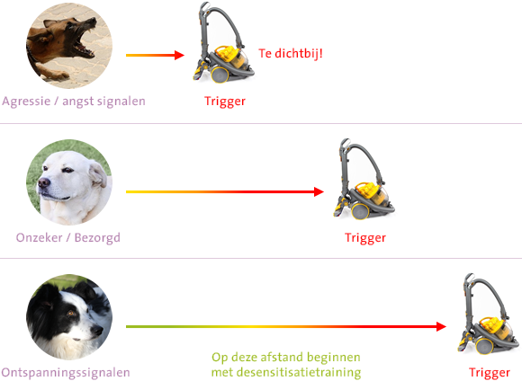 Systematische desensitisatie