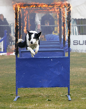 Valkuilen van training