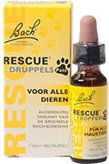 Bach Rescue Pets