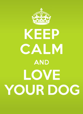 Keep calm and love your dog