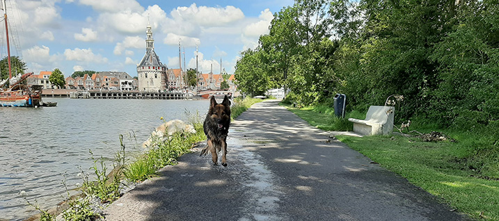 Individuele wandeling in eigen omgeving