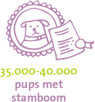 Puppy's met stamboom