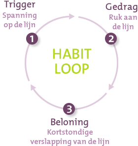 Habit loop