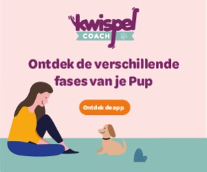 Kwispelcoach