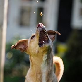 Timing