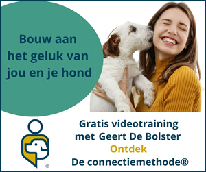 schoorsteen Illustreren Amuseren Op vakantie met je hond - Doggo.nl