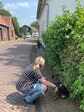 Hond bang op straat