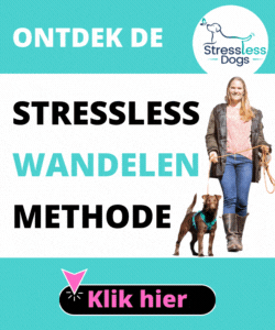 Stressless Wandelen