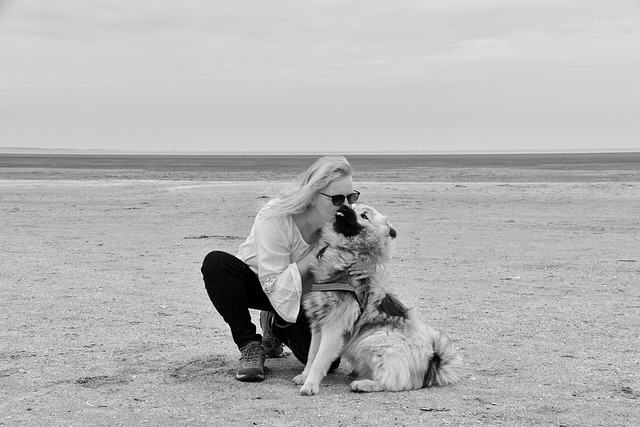 Hond vraagt om meer ruimte