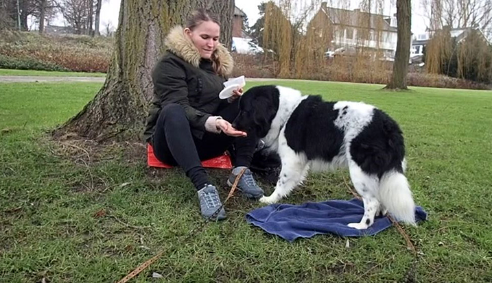 Zitten tijdens de wandeling