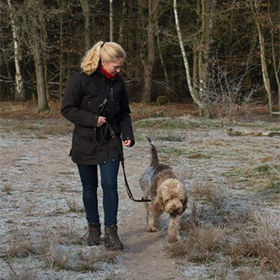 Belonen wat je graag ziet. Zodat de hond vaker dit gedrag laat zien.