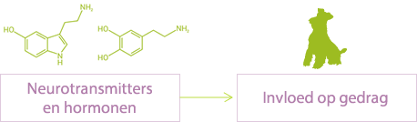 Neurotransmitters en hormonen hebben invloed op gedrag