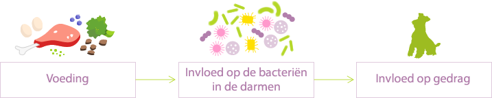 Voeding heeft invloed op het microbioom in de darmen