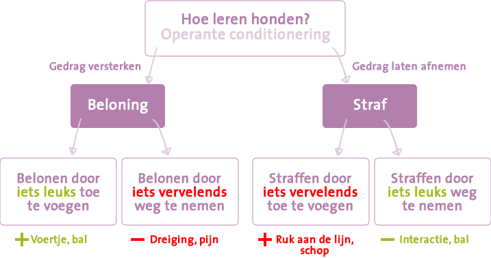 Operante conditionering