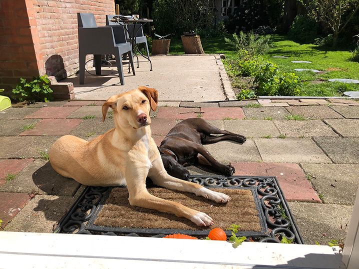 Ontspannen in de tuin