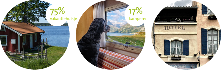 Met je hond op vakantie