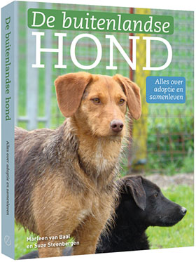 Boek De buitenlandse hond