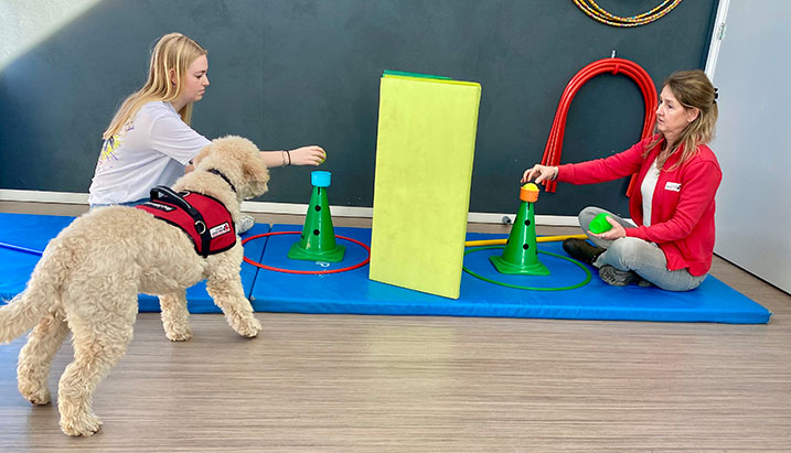 Therapiehond
