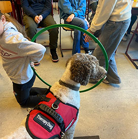 Therapiehond spel
