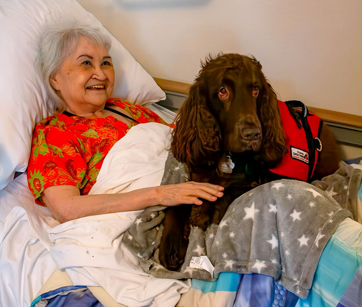 Therapiehond