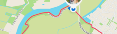 Tractive GPS voor honden
