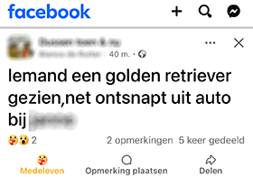 Vermiste hond op Facebook